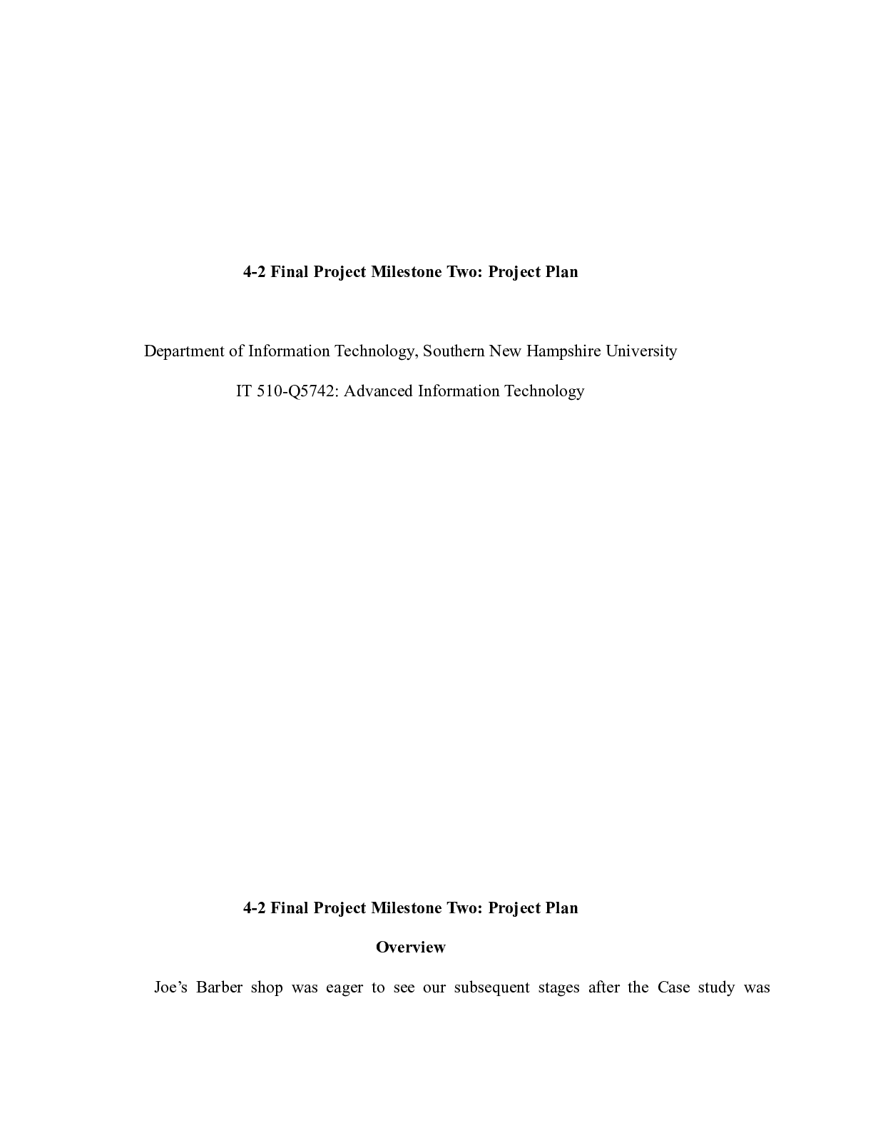 Preview image for IT 510 Final Project Milestone Two Project Plan|    4-2 Final Project Milestone Two: P